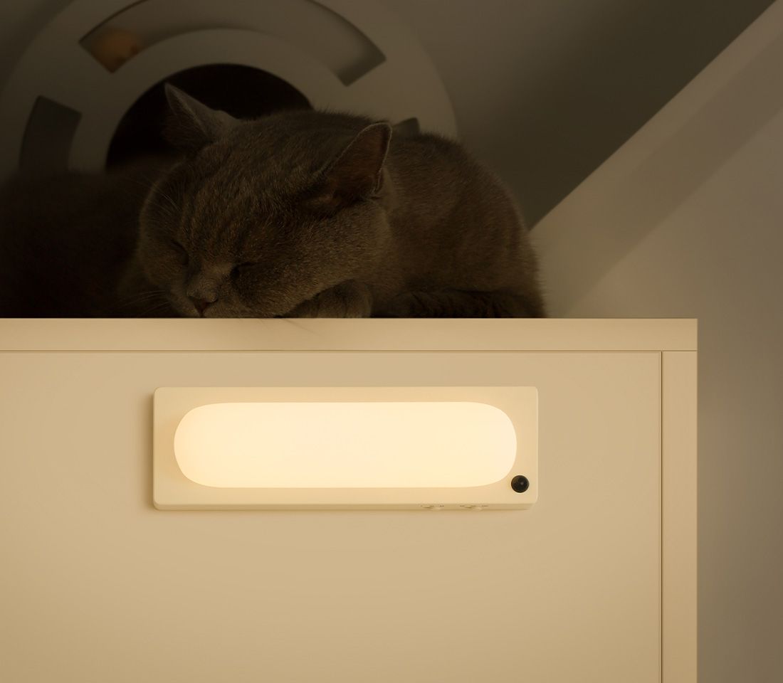 Barlight with cat