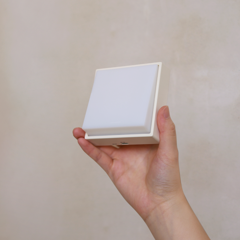Toggle Light