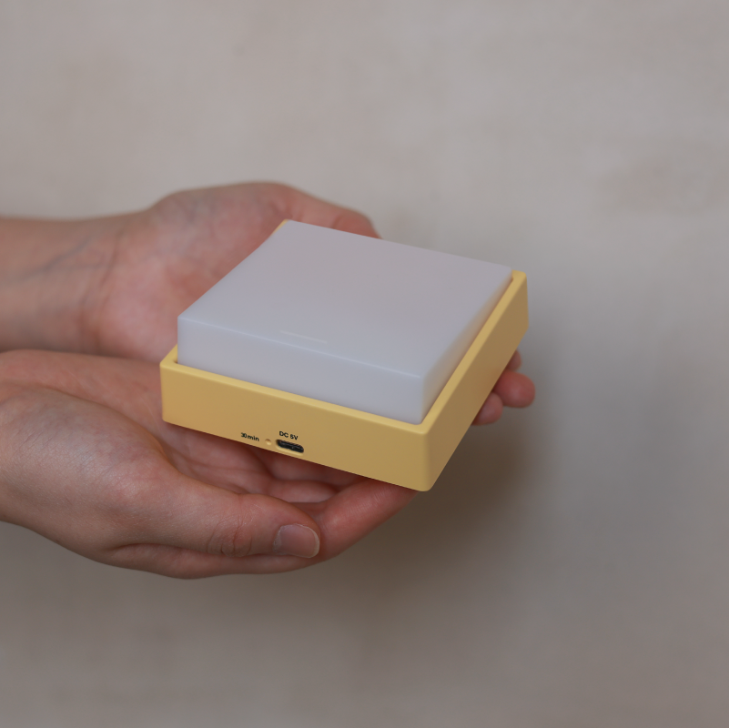 Toggle Light