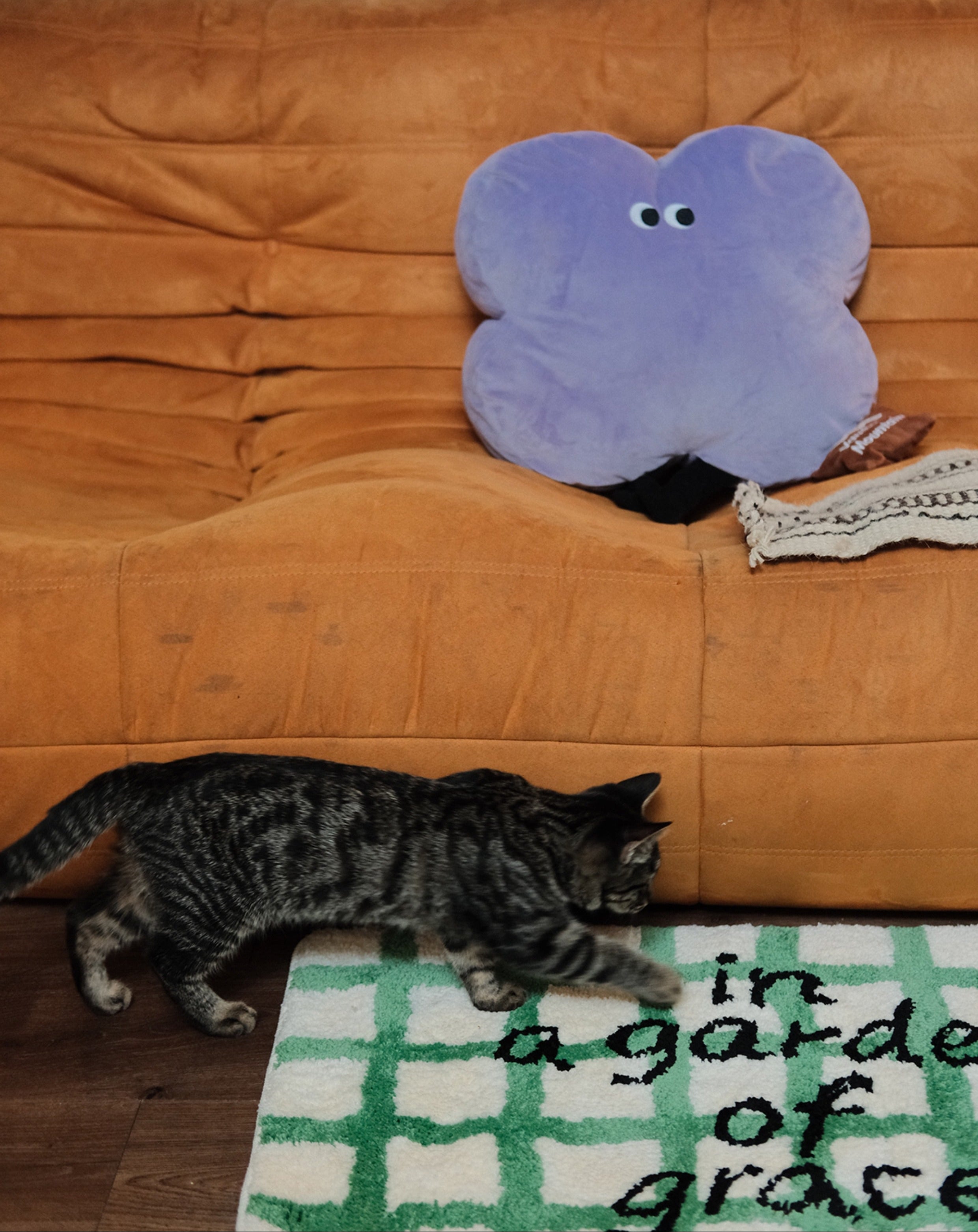 Cat walking on a rug with a purple butterfly-shaped object on an orange couch.
